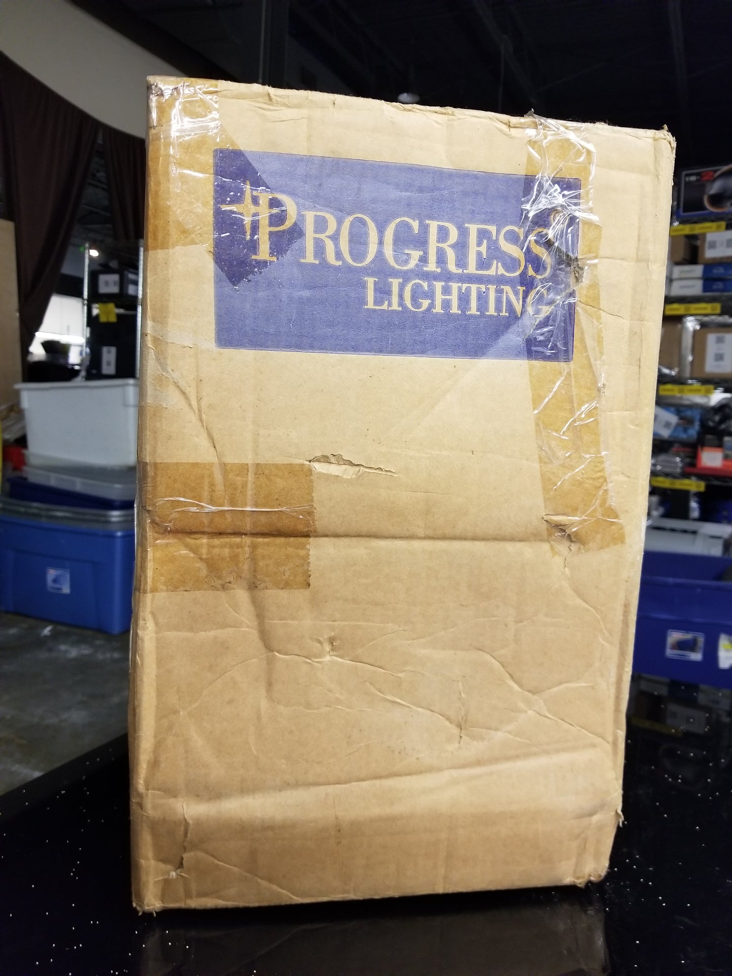 B00019 - Black Light Fixture P5863-31