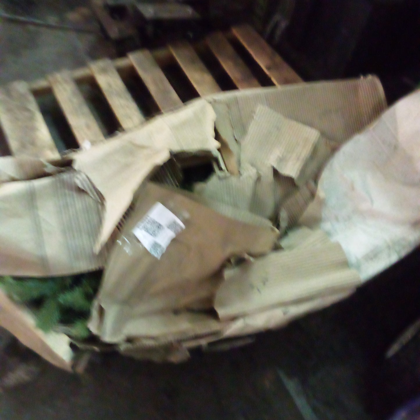 P00241 - Christmas tree