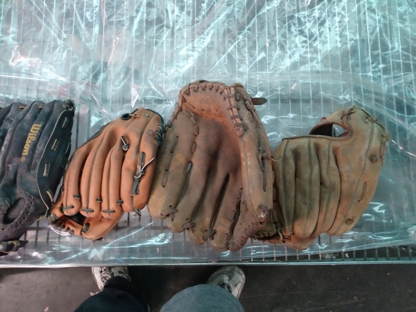 P00217 - Baseball Gloves