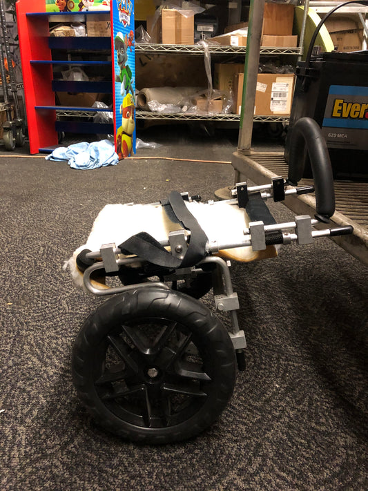 M00023 - Walking Wheel Dog Wheel Chair